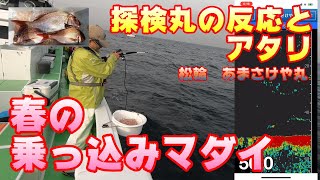 【春の乗っ込み】剣崎沖　コマセ真鯛釣り　あまさけや丸【探見丸反応も表示よん】