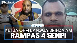 Ketua OPM-TPNPB Bangga Bripda Aksel Mabel Rampas 4 Senpi Polri Gabung KKB