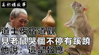 民間故事：道士夜宿道觀，見老鼠哭個不停有蹊蹺，他說：這是報應｜高朗講故事