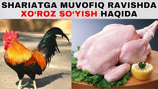 SHARIATGA MUVOFIQ RAVISHDA XO'ROZ SO'YISH HAQIDA