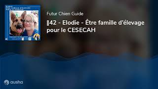 🦮42 - Elodie - Être famille d’élevage pour le CESECAH