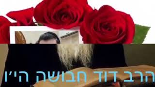 דרשה חזקה בעניין חברותא. ומושגים במילה חטא.וההקשר לפורים קטן .מפי הרב דוד חבושה