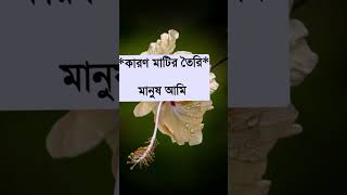 অহংকার করি না কারণ আমি মাটির তৈরি মানুষ #music #song #love #newsong