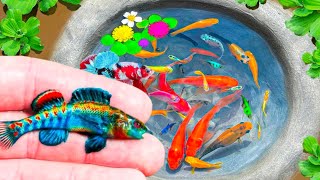 Unboxing IKan Hias Warna Warni,Ikan Cupang,Ikan Koi,Ikan Komet,Ikan Koki,Kura Kura Brazil,Gupy