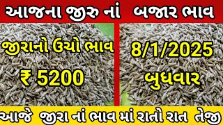 જીરુંના ભાવમાં વધારો ક્યારે થશે? | 08-01-2025 | આજના બજાર ભાવ | જીરું નો ભાવ #jeeranabhav