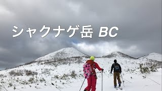 シャクナゲ岳 バックカントリー チセヌプリスキー場コース  登山 【北海道雪山登山ガイド】 Backcountry skiing Hokkaido Japan snow