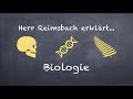 homologie und analogie