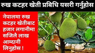 रुख कटहर खेती गर्ने सजिलो तरिका || Krishi Sandesh About Easy Way to Cultivate Jackfruit in Nepal