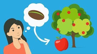 ¿Cómo nacen las frutas sin semillas? (PyR)