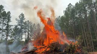 What Happens When You Burn a Giant Wood Pile?