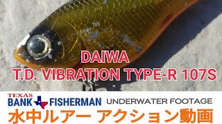 #DAIWA＃ダイワ＃TDバイブ #水中ルアー動画 [ UNDERWATER FOOTAGE ] DAIWA T.D.VIBRATION TYPE-R 107S  水中ルアーアクション動画