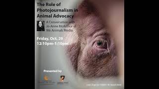 The Role of Photojournalism in Animal Advocacy