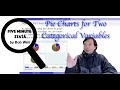 How to Draw Pie Charts for Two Categorical Variables? | Stata Graphics | Stata Tutorials Topic 11