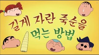 [짱구는 못말려] 길게 자란 죽순을 먹는 방법