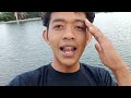 keliling tambak udang vaname banyuwangi