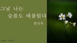 [시낭송] 그날 나는 슬픔도 배불렀다 * 함민복/// 배경음악 * You Raise Me Up 피아노연주 * 김봉관