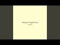 Shadow Fragile River