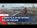 Sempat Diguyur Hujan, Api Karhutla di Ketapang kembali Menyala