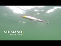 How Lures Swim: Shimano Sinking Pencil