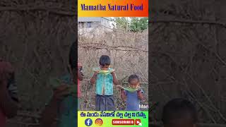 ఈ మండు వేసవిలో చల్ల చల్ల ని రస్నా | rasna | village food | mamatha natural food |