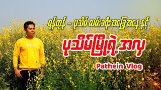 Roadtrip to Pathein