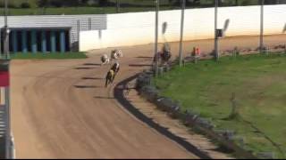 Gunnedah-27-05-2017-Race-5