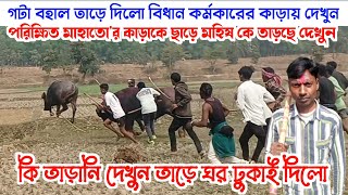 বিধান কর্মকারের কাড়ায় কত দূর তাড়লো দেখুন! এই হলো তাড়ানি দেখুন তাড়াতাড়ি।