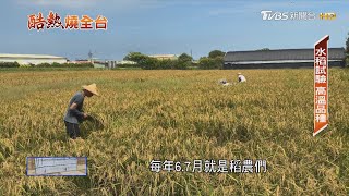 高溫示警! 西瓜早熟.水稻減產 台灣夏天恐長達210天｜酷熱燒全台｜TVBS新聞 @TVBSNEWS01