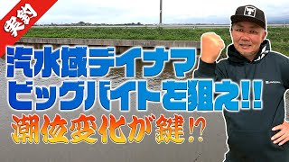 #032【デイナマ】汽水域ナマズを攻略せよ！Fishing for Catfish in JAPAN