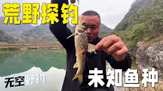 【無空野釣】荒野探釣，隱藏在大山裏的奇異深潭，究竟能釣到什麽魚種！ #钓鱼 #探险 #户外 #钓鱼生活 #钓鱼高手 #钓鱼分享 #钓鱼佬 #大鱼