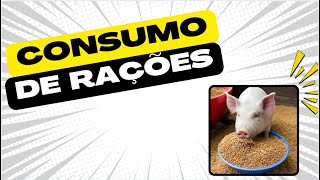 SUINOCULTURA: CONSUMO DE RAÇÕES