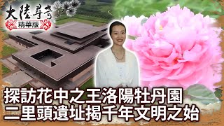 探訪花中之王洛陽牡丹園 二里頭遺址揭千年文明之始【@ctvchinatvEP1965】