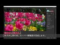 動画から写真を綺麗に切り出す方法（davinch resolve cameraraw　スーパー解像度