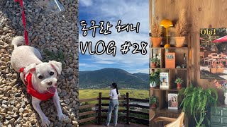 VLOG 일상 브이로그 #28 | 2박3일 반려견과 함께한 집나가면 개고생 브이로그 • 하동여행, 화개장터, 반려견브이로그, 견생브이로그, 섬진강, 까페녹음, 가포수변공원, 산책