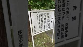 日本で最も有名な少年院「多摩少年院（宿舎）」へ続く道（東京都 八王子市 緑町・緑に囲まれた禁区） #Shorts