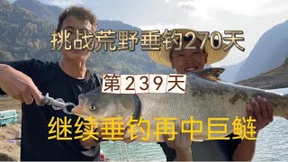 連續野釣第239天 天天都中巨物，再做河中最靚的仔