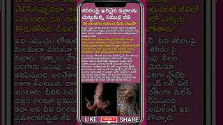 శరీరంపై ఖరీదైన వజ్రాలను చుట్టుకున్న సముద్ర జీవి #shorts #shortsvideo #shortsfeed #short #ytshorts