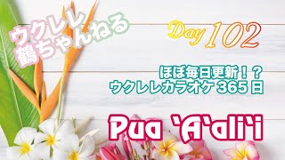 Pua ʻAʻaliʻi★ウクレレ365日シリーズ★Day102