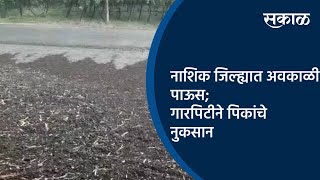 नाशिक जिल्ह्यात अवकाळी पाऊस; गारपिटीने पिकांचे नुकसान | Nashik | Maharashtra | Sakal Media |