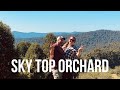 SKY TOP ORCHARD U-PICK APPLES | FLAT ROCK, NC