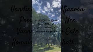 Vandine thedum song lyrics #trendingshorts#songlyrics #liyrics #lrics #musicgenre