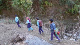 Going traditional village school || Traditional life || Nepali Village