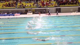 2013　京都選手権　50Fr  B決勝　野嶋　渋谷