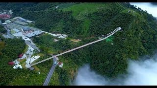 ✅  海拔1千公尺的嘉義縣梅山鄉太平村太平雲梯，是全台最長景觀吊橋，11年前退休教官嚴清雅返鄉當選村長，號召村民組織合作社，3...