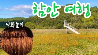 함안 여행 vlog 브런치 먹고 커피 마시고 악양둑방길 코스모스 구경🌸 여기에 낙화놀이를 곁들인 브이로그🔥