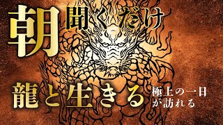 目に入ったら必ず「即」再生してください。不思議です。この龍見ると必ずツキまくります。