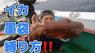 超簡単‼️イカの墨袋の縛り方　squid