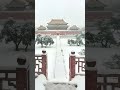 “看尽故宫千秋雪，阅遍人间百年风。”有生之年，一定要跟最爱的人看一次雪落紫禁城 北京初雪 雪一落这里就美成了诗