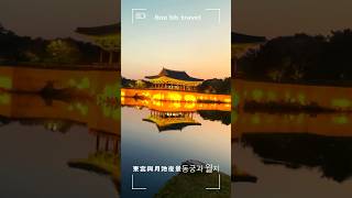 South Korea/Busan/Gyeongju Donggung Night View/Daereungwon/Gyeongju/대릉원 ／Daereungwon # Gyeongju