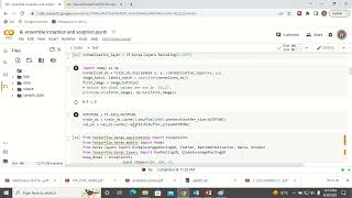 Python Code for Ensemble Model for Image Classification